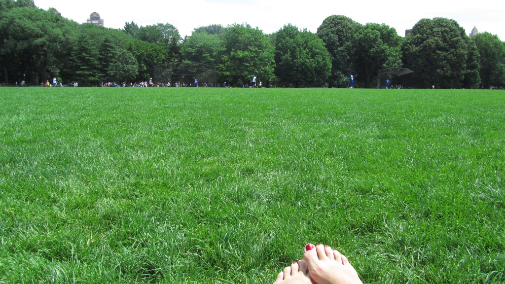 The Great Lawn at Central Park - New York, USA